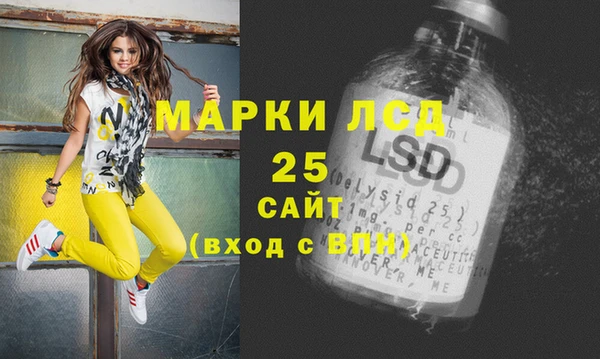 ECSTASY Алзамай